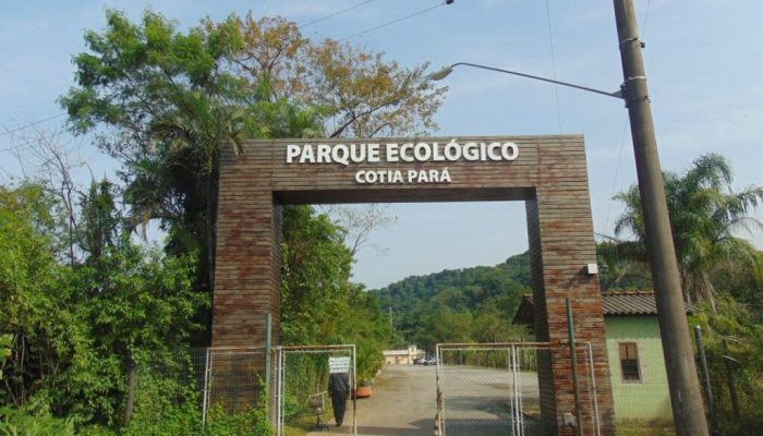 Cotia-Para-1024×768-1.jpg Cotia-Para-1024x768-1.jpg