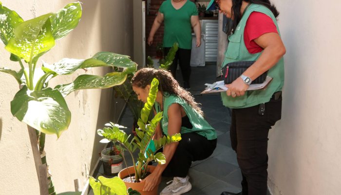 FRANCISCO-ARRAIS_3415.jpg FRANCISCO-ARRAIS_3415.jpg