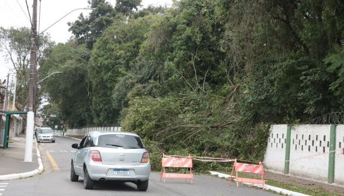 FRANCISCO-ARRAIS_7907.jpg FRANCISCO-ARRAIS_7907.jpg