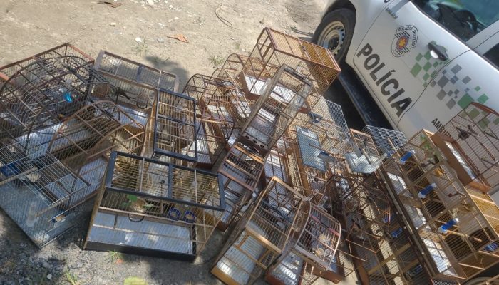 Prefeitura-intensifica-combate-a-crimes-ambientais-e-apreende-mais-de-60-aves-silvestres.jpeg
