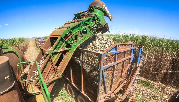 Tarifaco-EUA-cana-corte-Jalles-Machado.jpg Tarifaco-EUA-cana-corte-Jalles-Machado.jpg