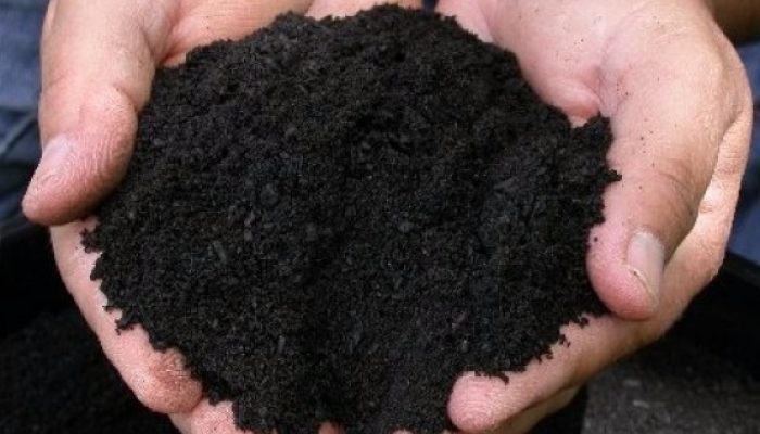 algas-marinhas-viram-adubo-a-forca-do-agro.jpg algas-marinhas-viram-adubo-a-forca-do-agro.jpg