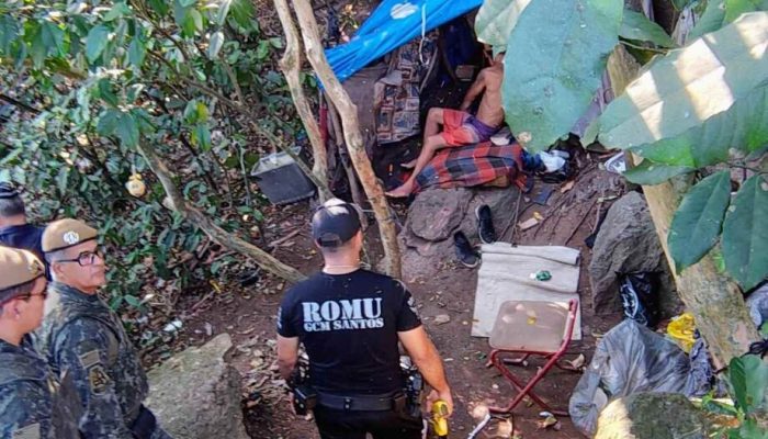 apos-queimadas-ocupacao-homem-retirado-ilha-litoral-sao-paulo