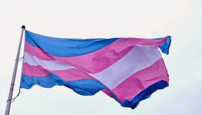 bandeira-trans.jpg bandeira-trans.jpg