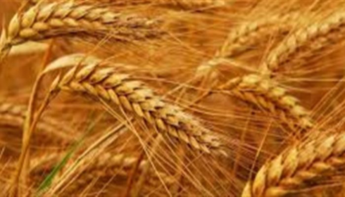 c66a791e6695472e865ac2cf3a4b4c1f_858x483.jpg c66a791e6695472e865ac2cf3a4b4c1f_858x483.jpg