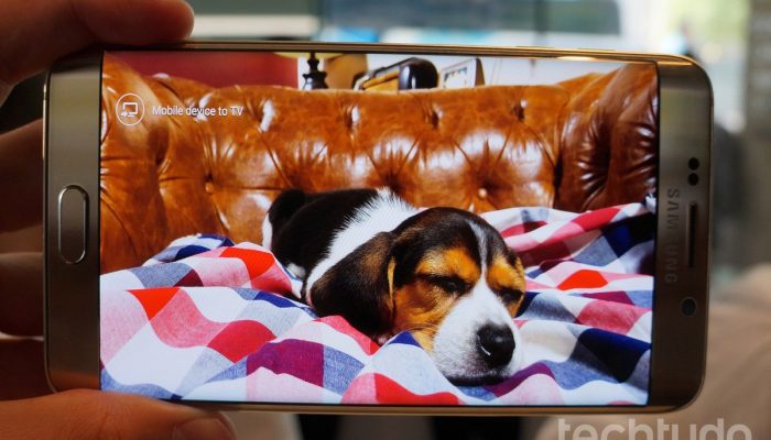 cachorro-no-celular.jpg cachorro-no-celular.jpg