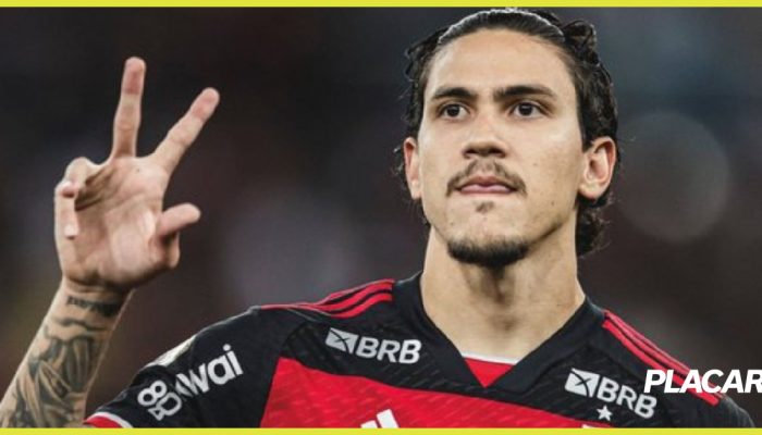 campeonato-brasileiro-flamengo-x-fortaleza-atacante-pedro-2024-2.jpg campeonato-brasileiro-flamengo-x-fortaleza-atacante-pedro-2024-2.jpg