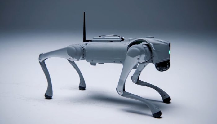 cao-robo-II.jpg cao-robo-II.jpg