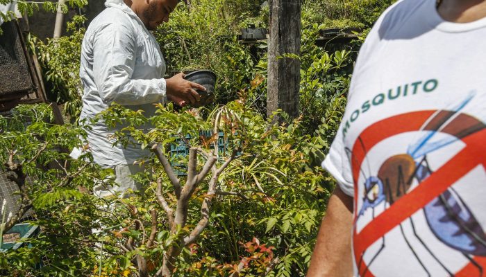 combate_dengue_14.jpg
