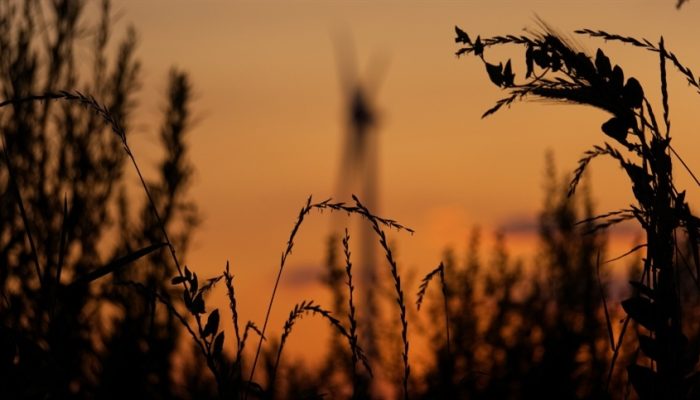 d3c4b80b5173412ead09582107ceabd6_858x483.jpg d3c4b80b5173412ead09582107ceabd6_858x483.jpg