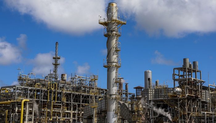 d6a4843-2.jpg d6a4843-2.jpg