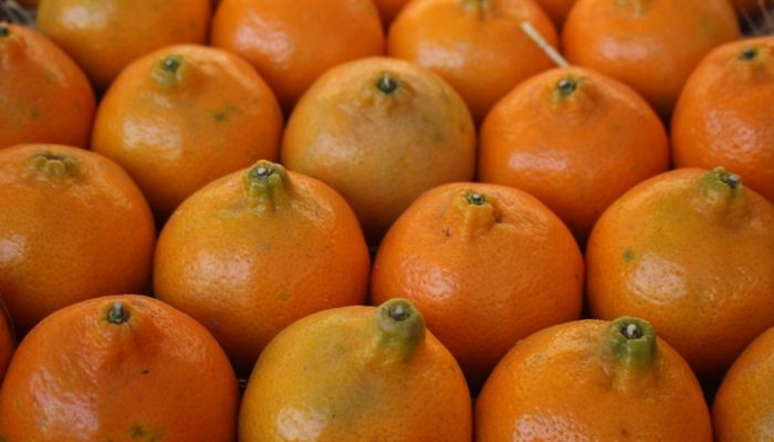 da3045fa968a48ce969f87a369b5effa_858x483.jpg da3045fa968a48ce969f87a369b5effa_858x483.jpg