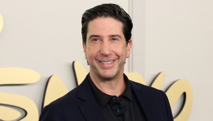 david-schwimmer_gettyimages-2153029033_widelg.jpg david-schwimmer_gettyimages-2153029033_widelg.jpg