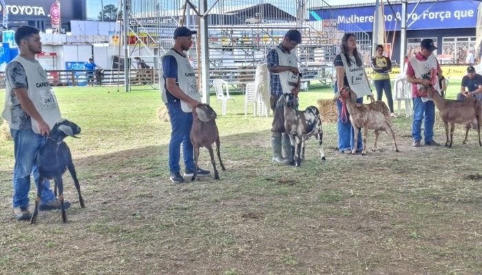 e91452d86f7049219247992af9d3679b_858x483.jpg e91452d86f7049219247992af9d3679b_858x483.jpg