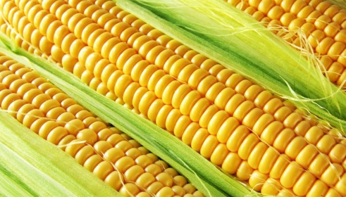 efe634a1e2564f26a6bf53f00d828b5b_858x483.jpg efe634a1e2564f26a6bf53f00d828b5b_858x483.jpg