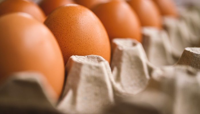 egg-7345934_1280.jpg egg-7345934_1280.jpg