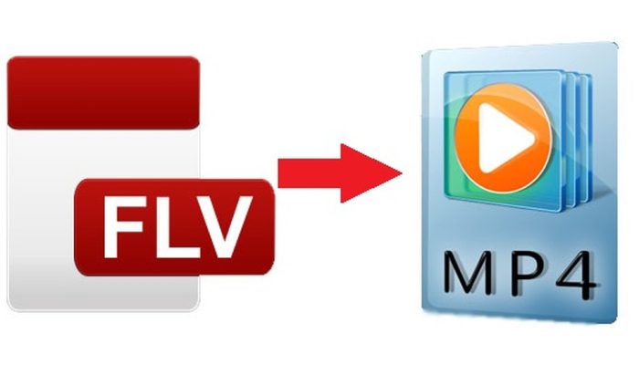 flvmp4.jpg