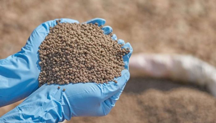 fosforo-fertilizante.jpg fosforo-fertilizante.jpg