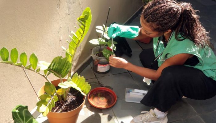 francisco_arrais_3423.jpg francisco_arrais_3423.jpg