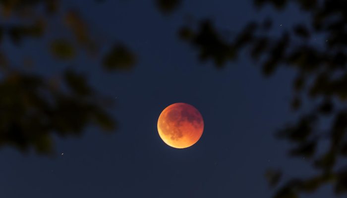 lua-de-sangue-3.jpg lua-de-sangue-3.jpg