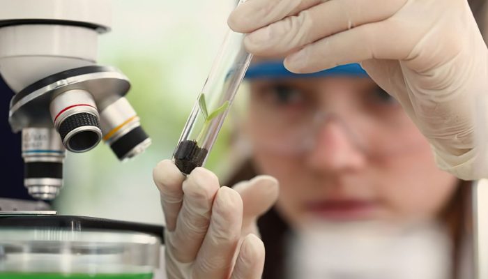 meninas_cientistas.jpg meninas_cientistas.jpg