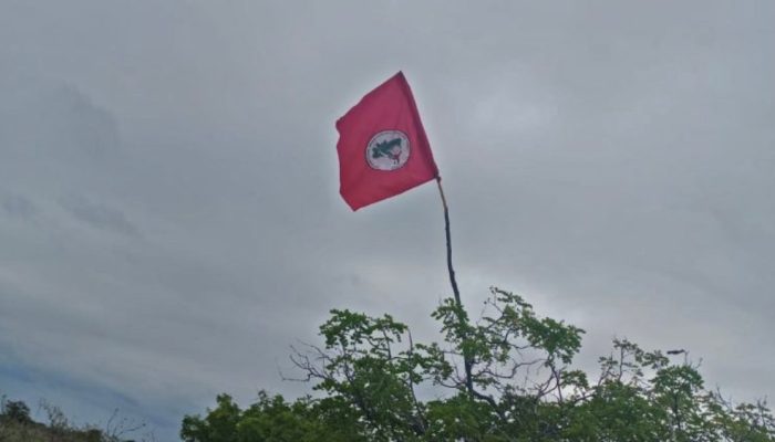 mst-invasao-bahia-foto-divulgacao.jpg mst-invasao-bahia-foto-divulgacao.jpg