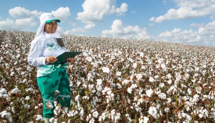 mulher-no-campo-a-forca-do-agro.jpg mulher-no-campo-a-forca-do-agro.jpg