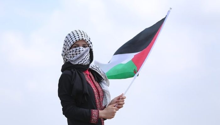 palestinian-woman-7412494_640.jpg palestinian-woman-7412494_640.jpg