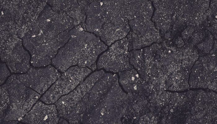 pexels-markusspiske-2004166