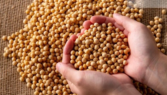 publi-2d27126b5e564b3cba38bb7b455a6ec2_858x483.jpg publi-2d27126b5e564b3cba38bb7b455a6ec2_858x483.jpg