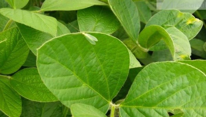 publi-8976f0cd2e9f4fefbdc603f2ae08c2f2_858x483.jpg publi-8976f0cd2e9f4fefbdc603f2ae08c2f2_858x483.jpg