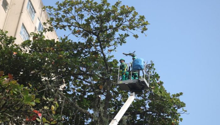 raimundo_rosa_1336.jpg raimundo_rosa_1336.jpg