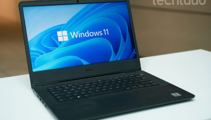tt-windows-02.jpg tt-windows-02.jpg