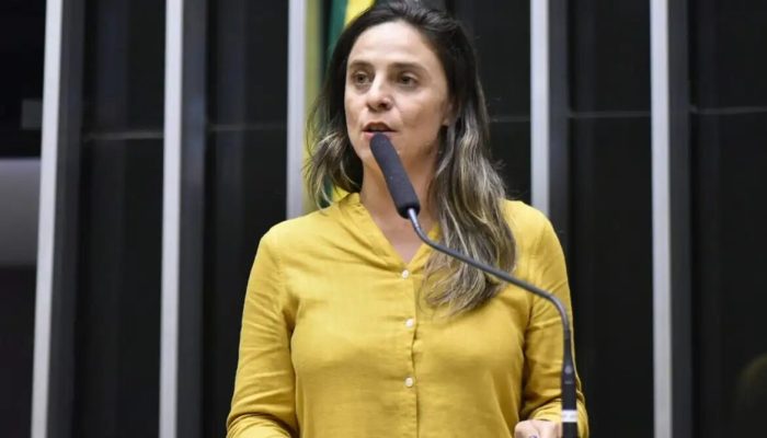 zeca-ribeiro-camara-dos-deputados.jpg